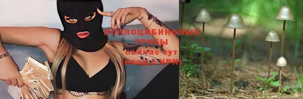 хмурый Белоозёрский