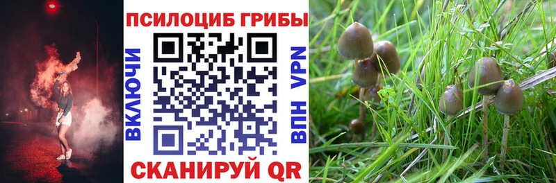 даркнет состав  Онега  Галлюциногенные грибы Psilocybine cubensis  ОМГ ОМГ вход 